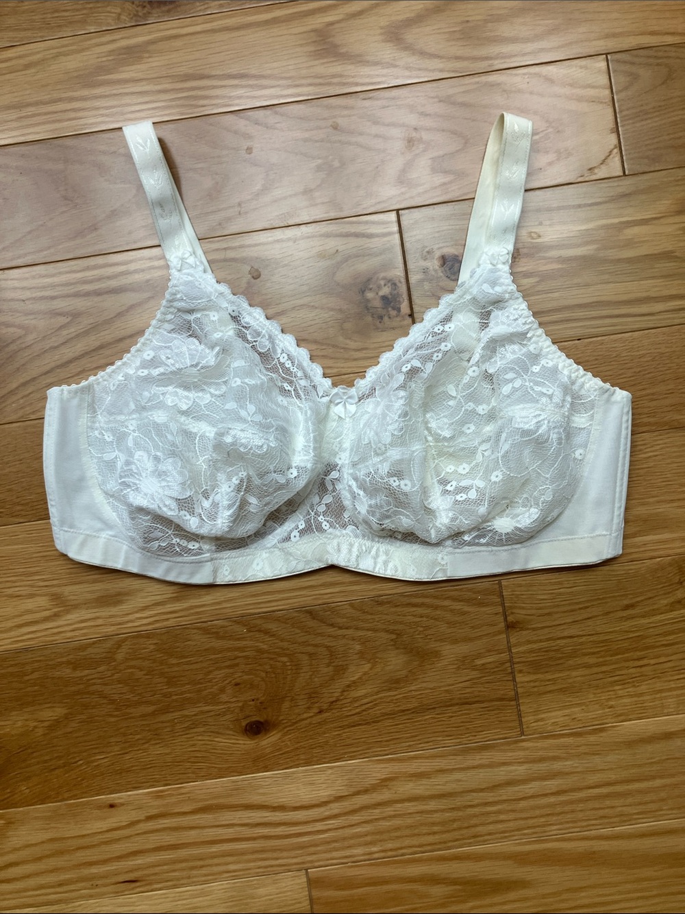 Retro Goddess Sheer Lace Bra in Ivory